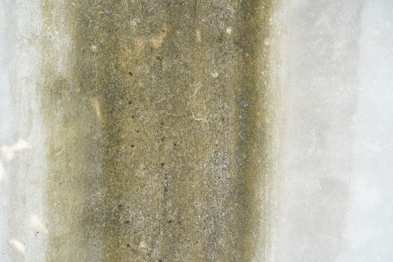 Water damage restoration